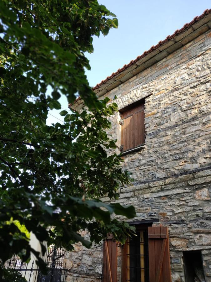 Vila Aronia Stone House Lafkos Exteriér fotografie